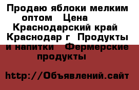 Продаю яблоки мелким оптом › Цена ­ 35 - Краснодарский край, Краснодар г. Продукты и напитки » Фермерские продукты   